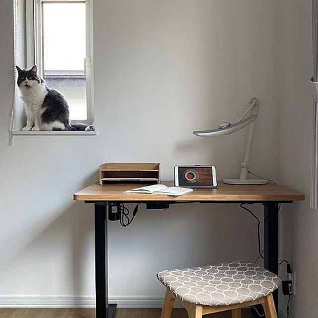 FlexiSpot_JPさんの実例写真
