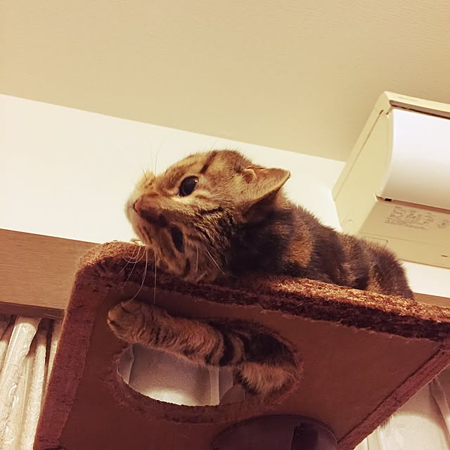 lavie0125さんの実例写真