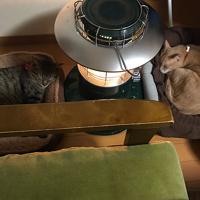 mikan161さんの実例写真