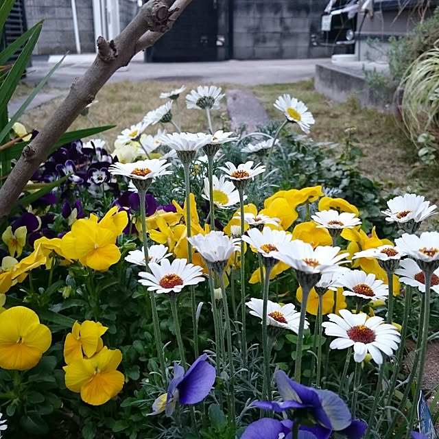 runaさんの実例写真