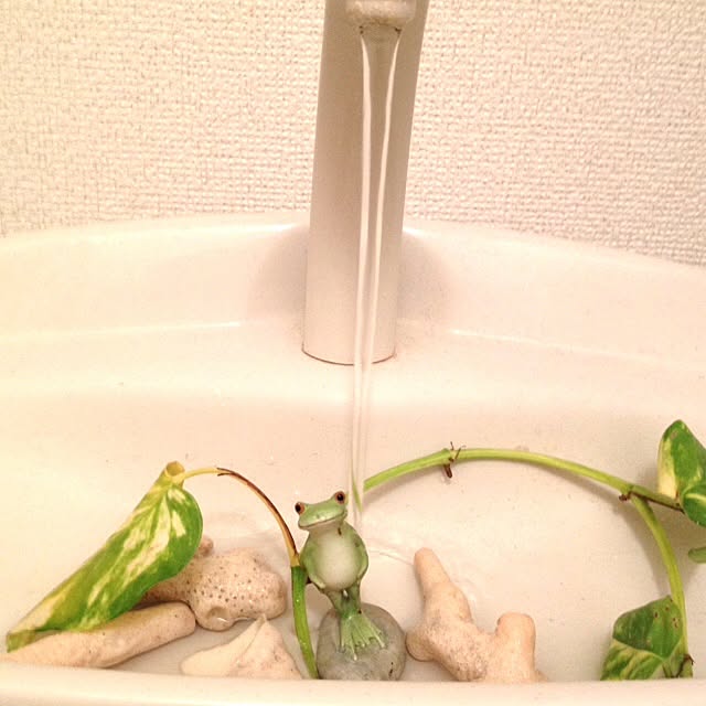 Chiharuさんの実例写真