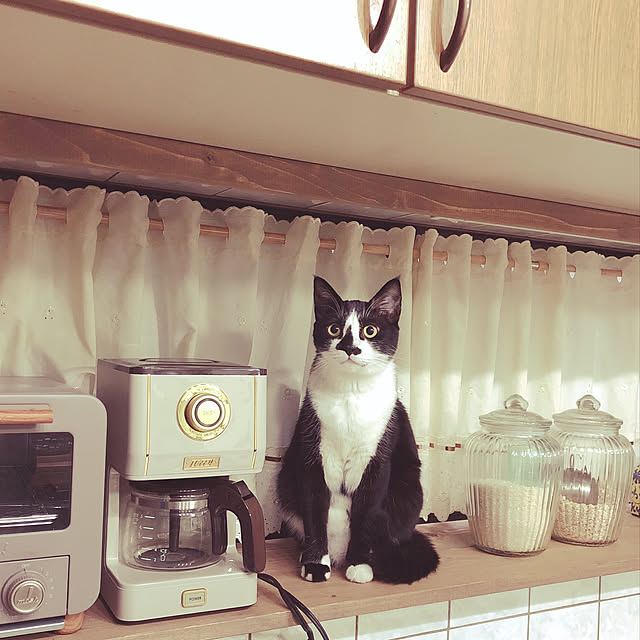 peruさんの実例写真