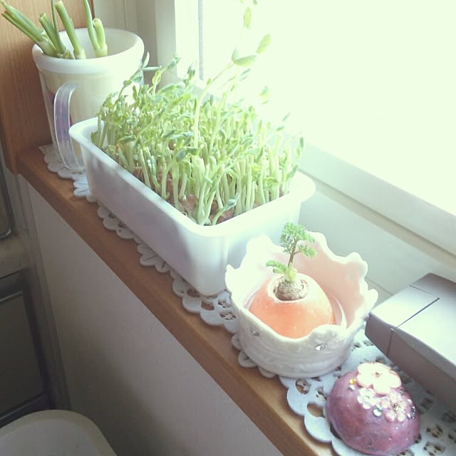 W-happyさんの実例写真