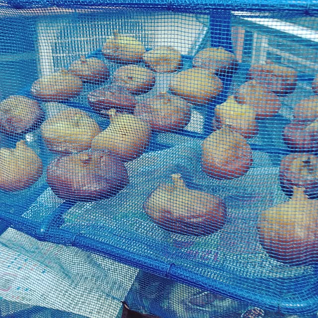 kakemama.r0212さんの実例写真