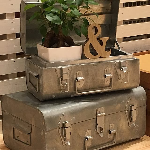 mu-g-uさんの実例写真