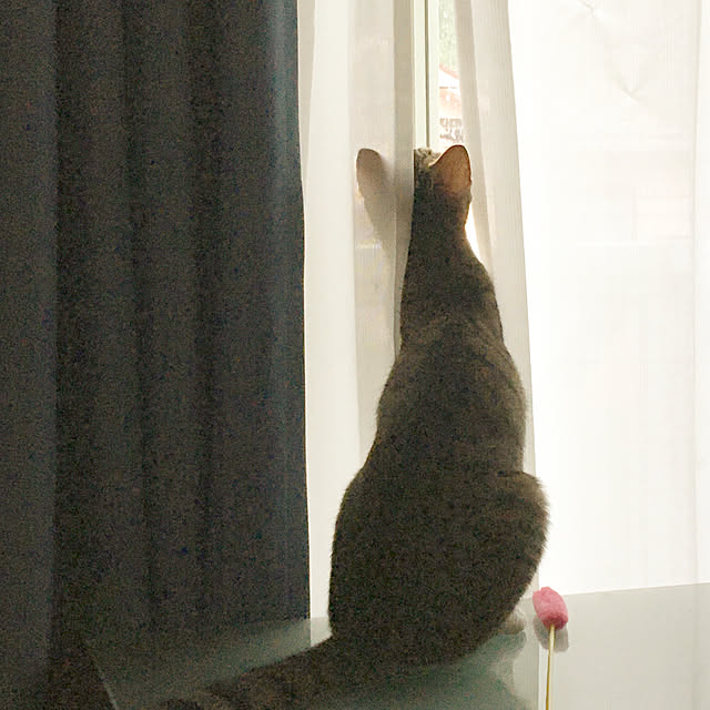 nobikoさんの実例写真