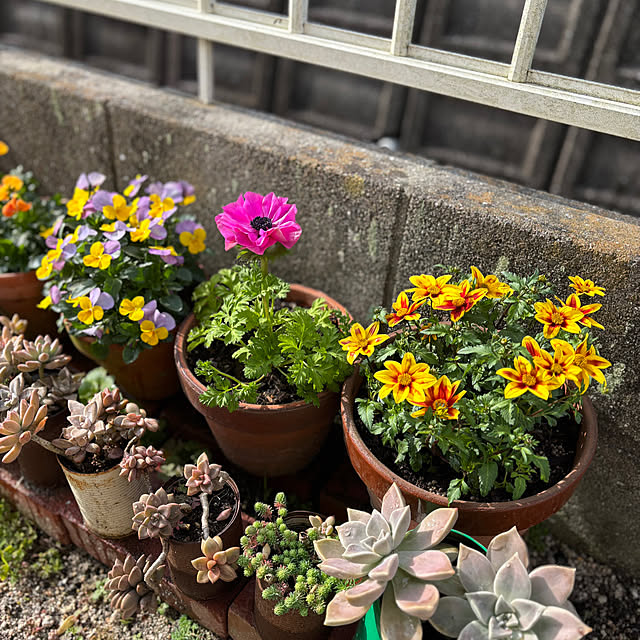 yokoさんの実例写真