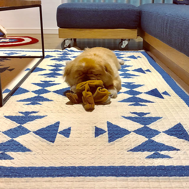 NUIさんの実例写真