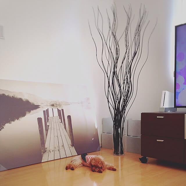 部屋全体/IKEAのインテリア実例 - 2015-09-20 15:07:49