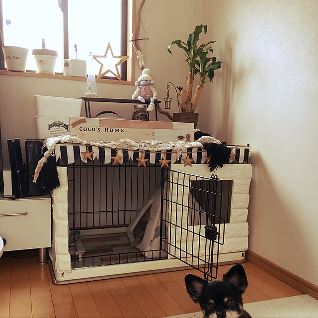 cocoさんの実例写真
