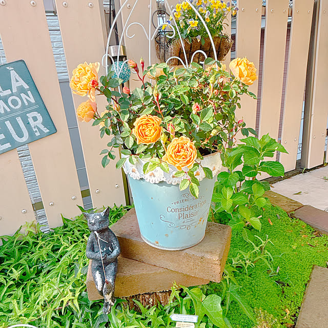 moolさんの実例写真