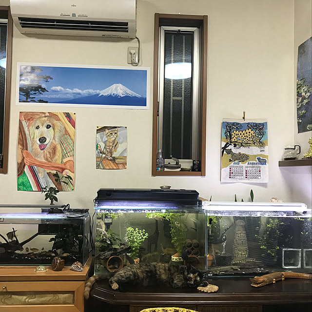 tornadeさんの実例写真