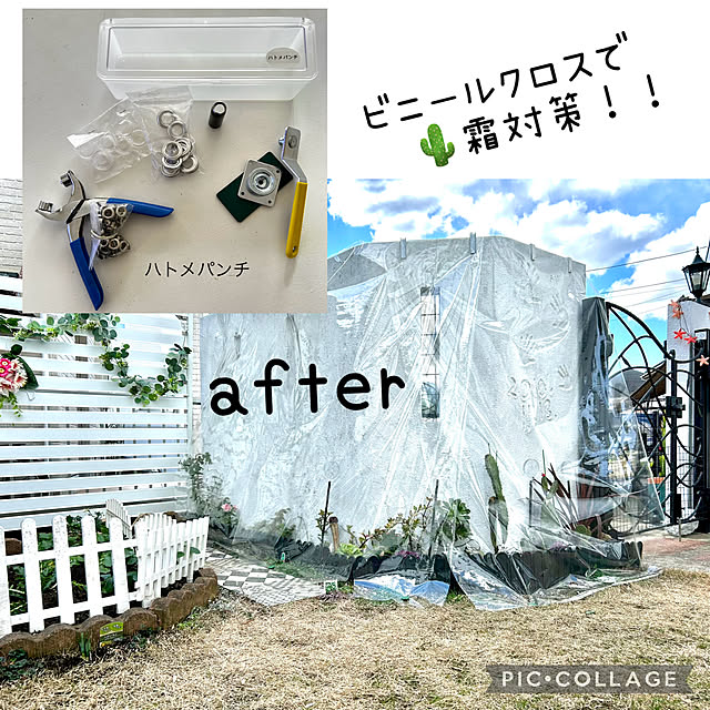 kittyさんの実例写真