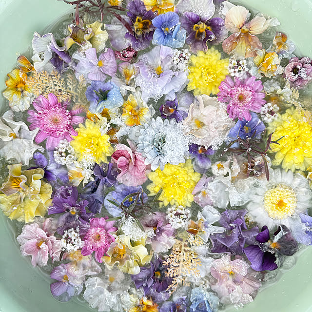 mayumiさんの部屋