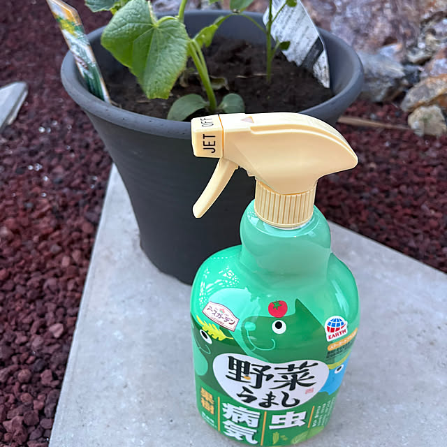 RYOさんの実例写真
