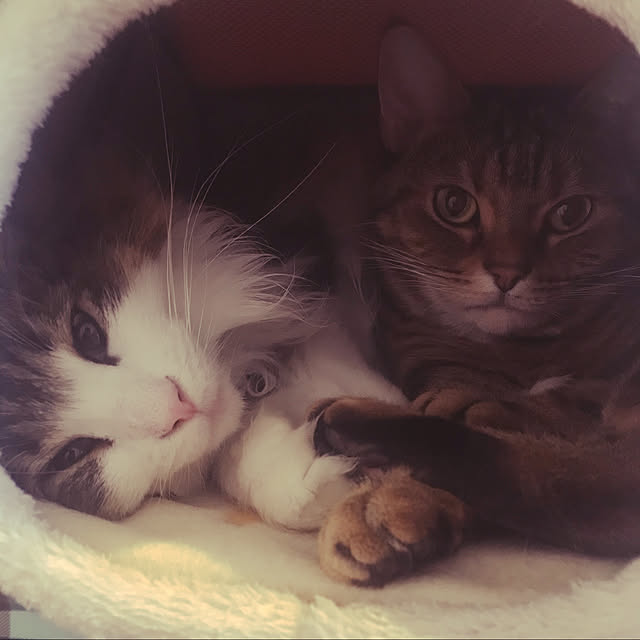 wyさんの実例写真