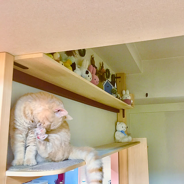 naokoさんの実例写真
