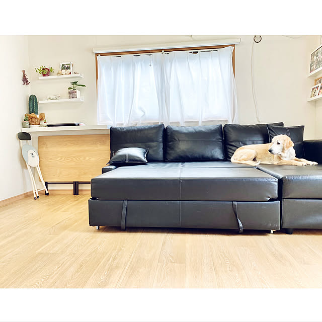 minu5656さんの実例写真