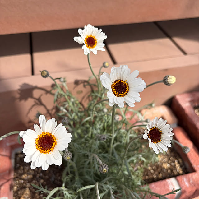 ronronさんの部屋