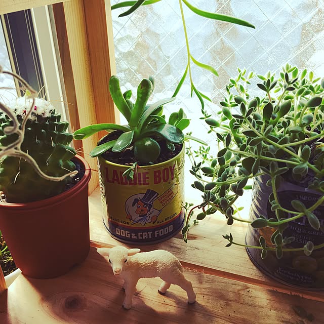 JILLさんの実例写真