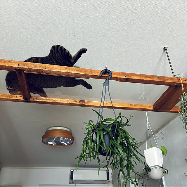 masamasaさんの部屋