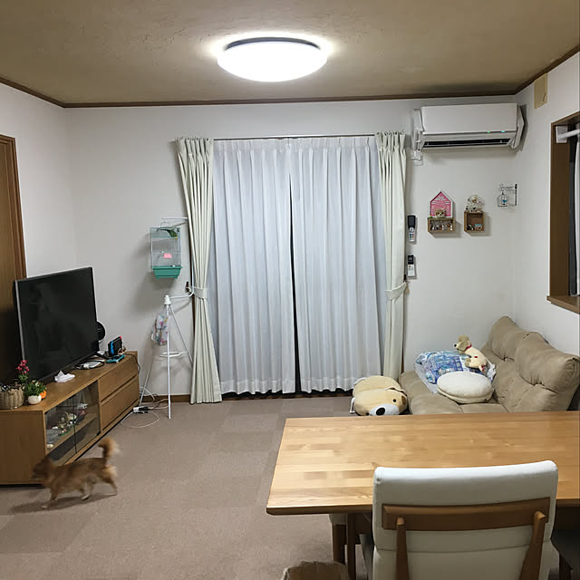 koroさんの実例写真