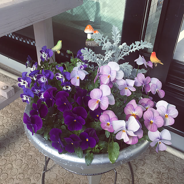 kanaさんの実例写真