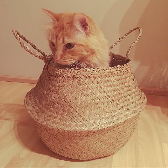 Keiさんの実例写真