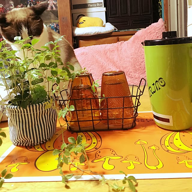 vivienne.coco-keiさんの実例写真