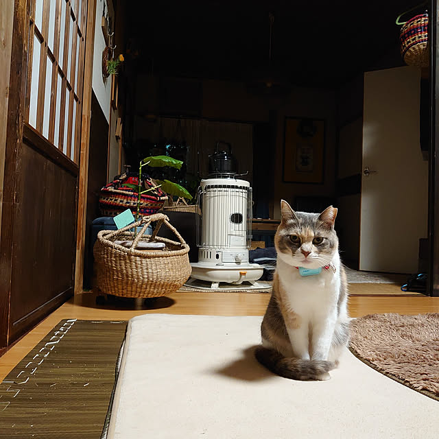 fukuさんの実例写真