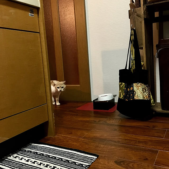 aiaiさんの実例写真