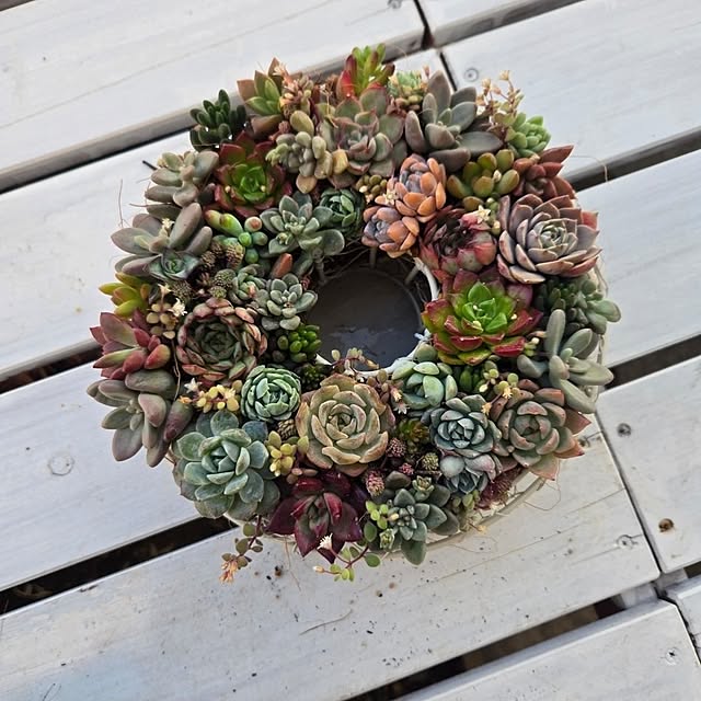 mayumiさんの部屋