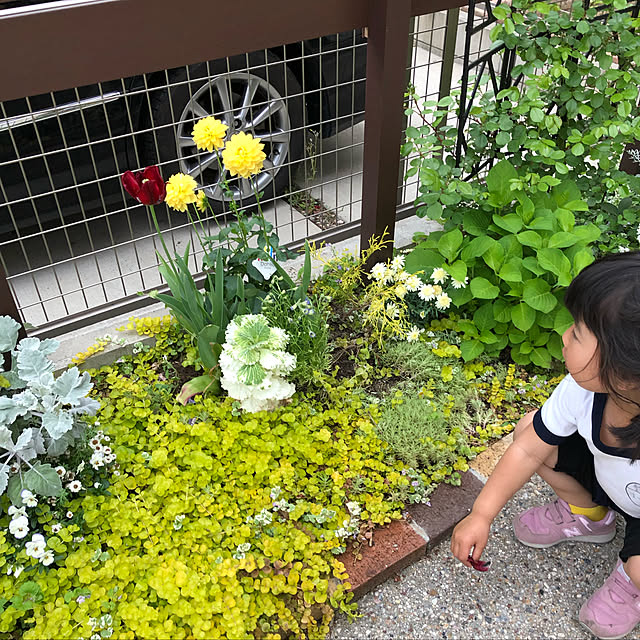 hinamamaさんの実例写真