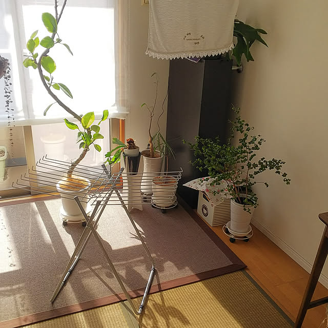 n0516さんの実例写真