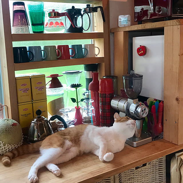 sakurasakuさんの実例写真