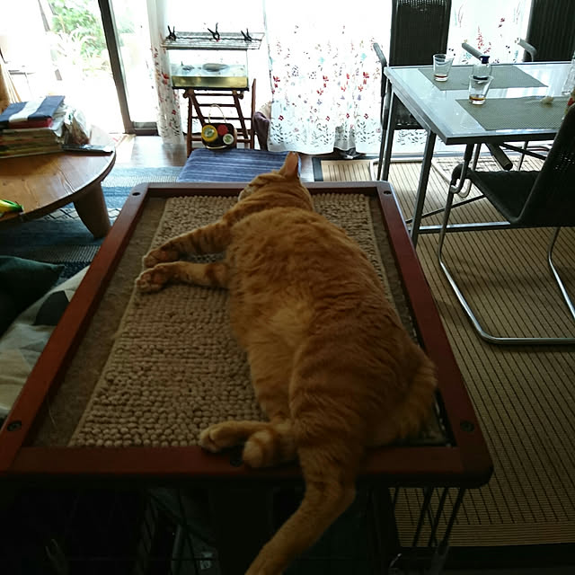 okyosan101さんの実例写真