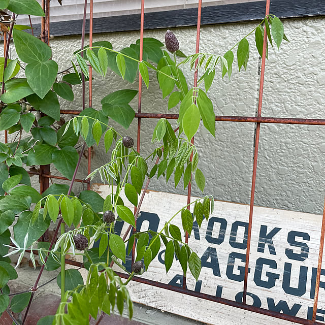 shin0719さんの部屋