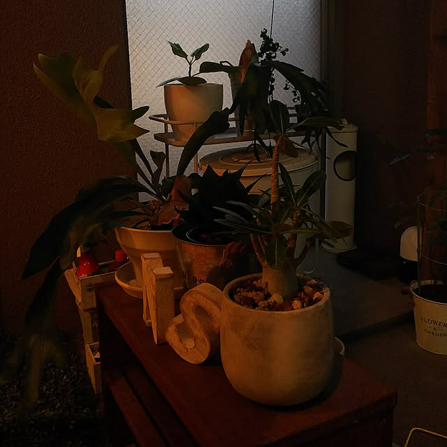 n0516さんの実例写真