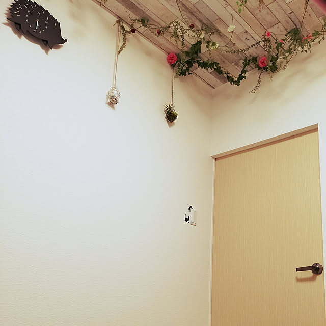 hinakontenchaさんの実例写真