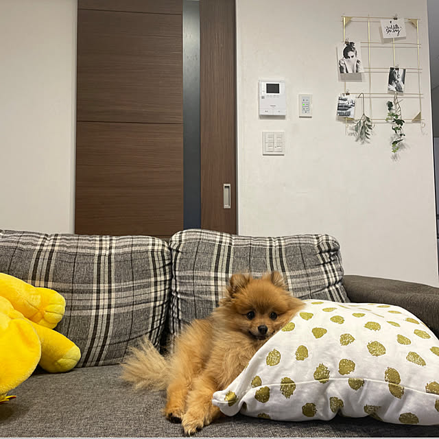 naaさんの実例写真