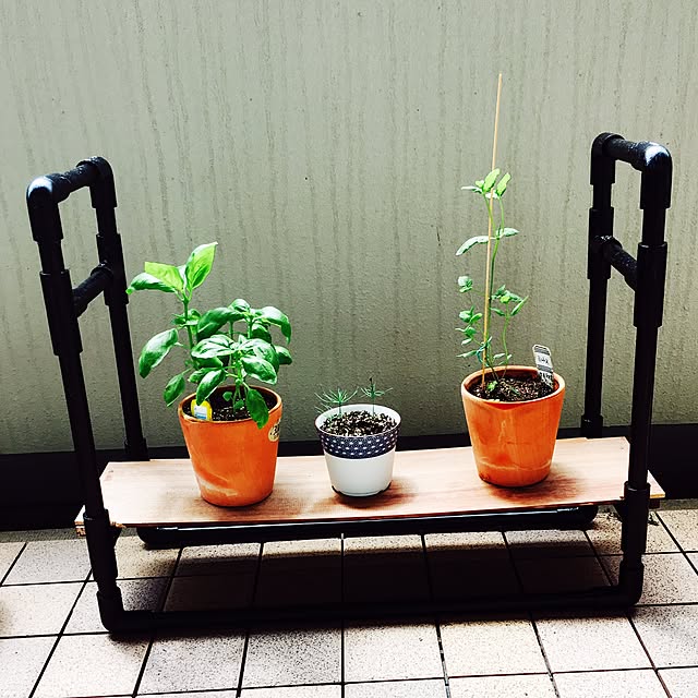 pachaoさんの実例写真