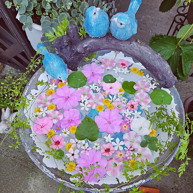 mocomocoさんの実例写真