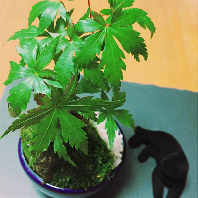 hanahanaさんの実例写真