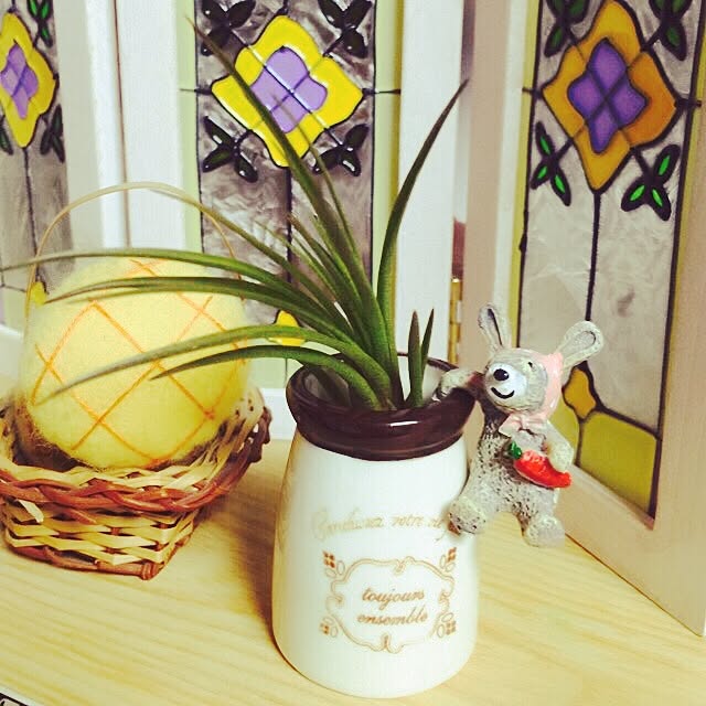 chieさんの実例写真