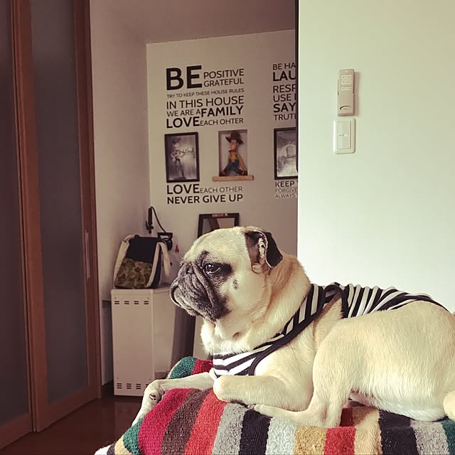kellyさんの実例写真