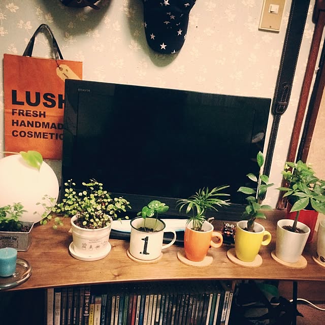 shunさんの実例写真