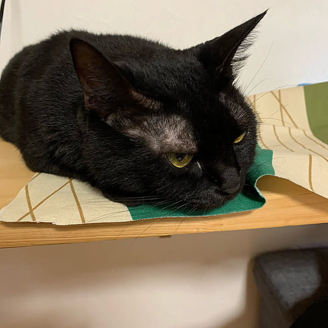 kuromiさんの実例写真
