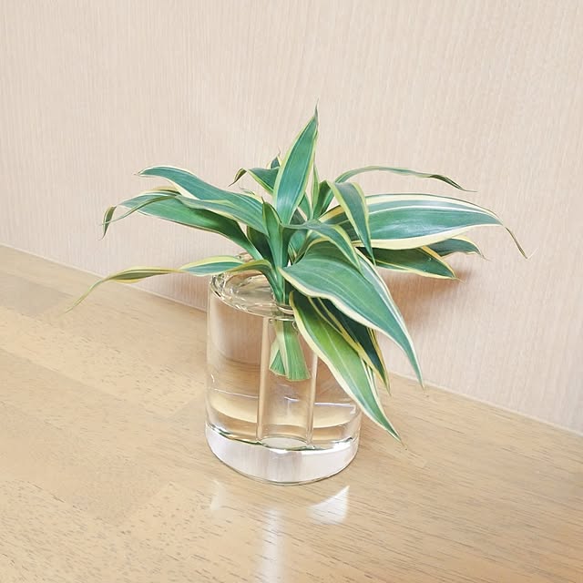 72chocoさんの部屋