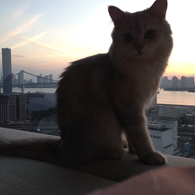 kenji197503さんの実例写真