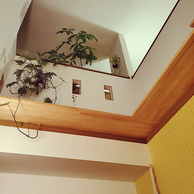 hiroさんの実例写真